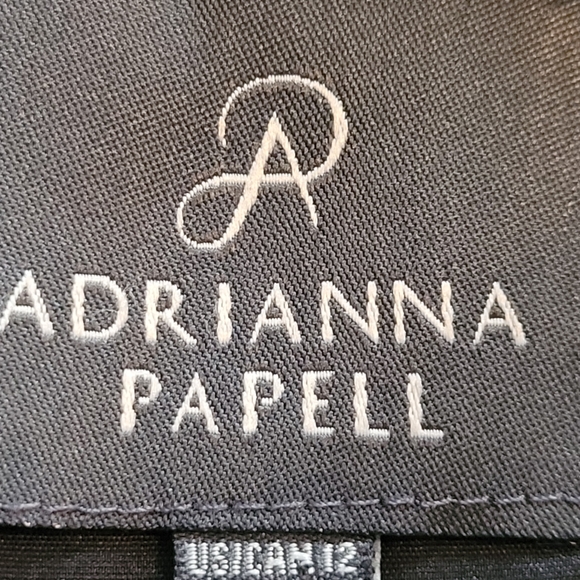 Stunning Adrianna Papell Dress Size 12 Like New - Picture 2 of 12